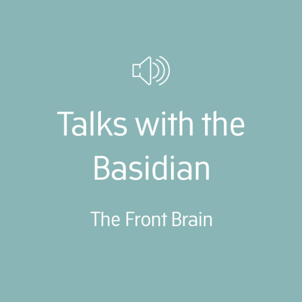 The Front Brain