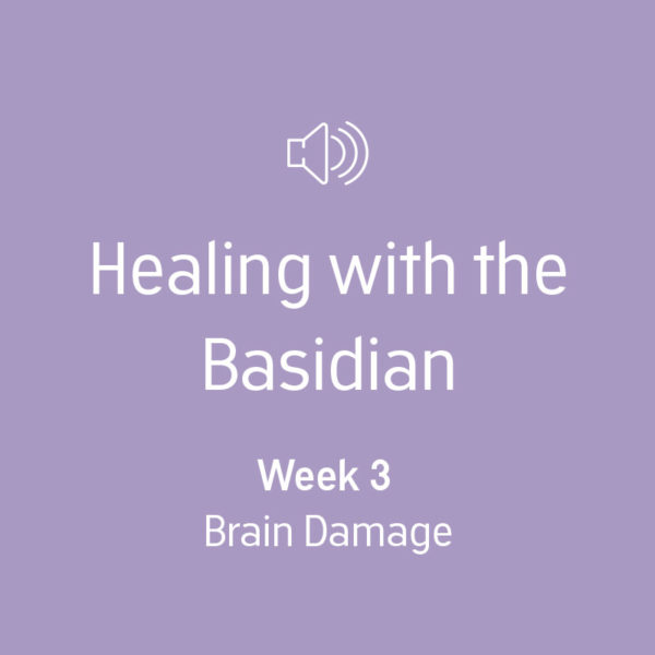 Week 3 - Brain Damage